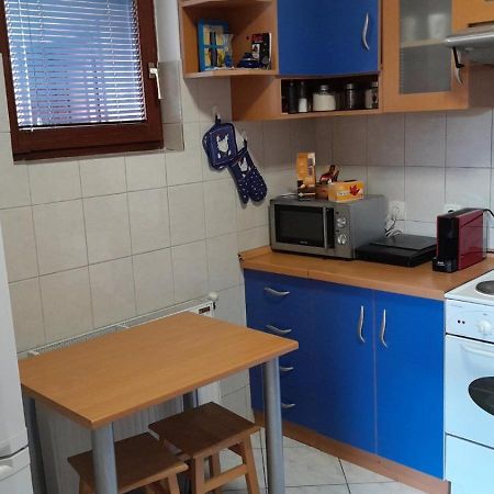 Plavi Apartman Airport بلغراد المظهر الخارجي الصورة